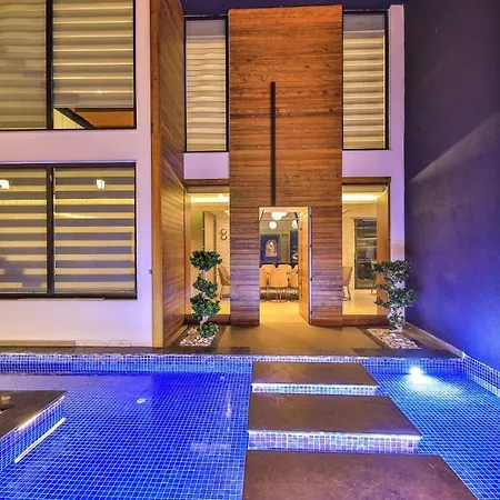 Max View - Kalkan